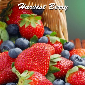 Harvest Berry Limitless Vape Premium E-Juice - Vape Hero Australia